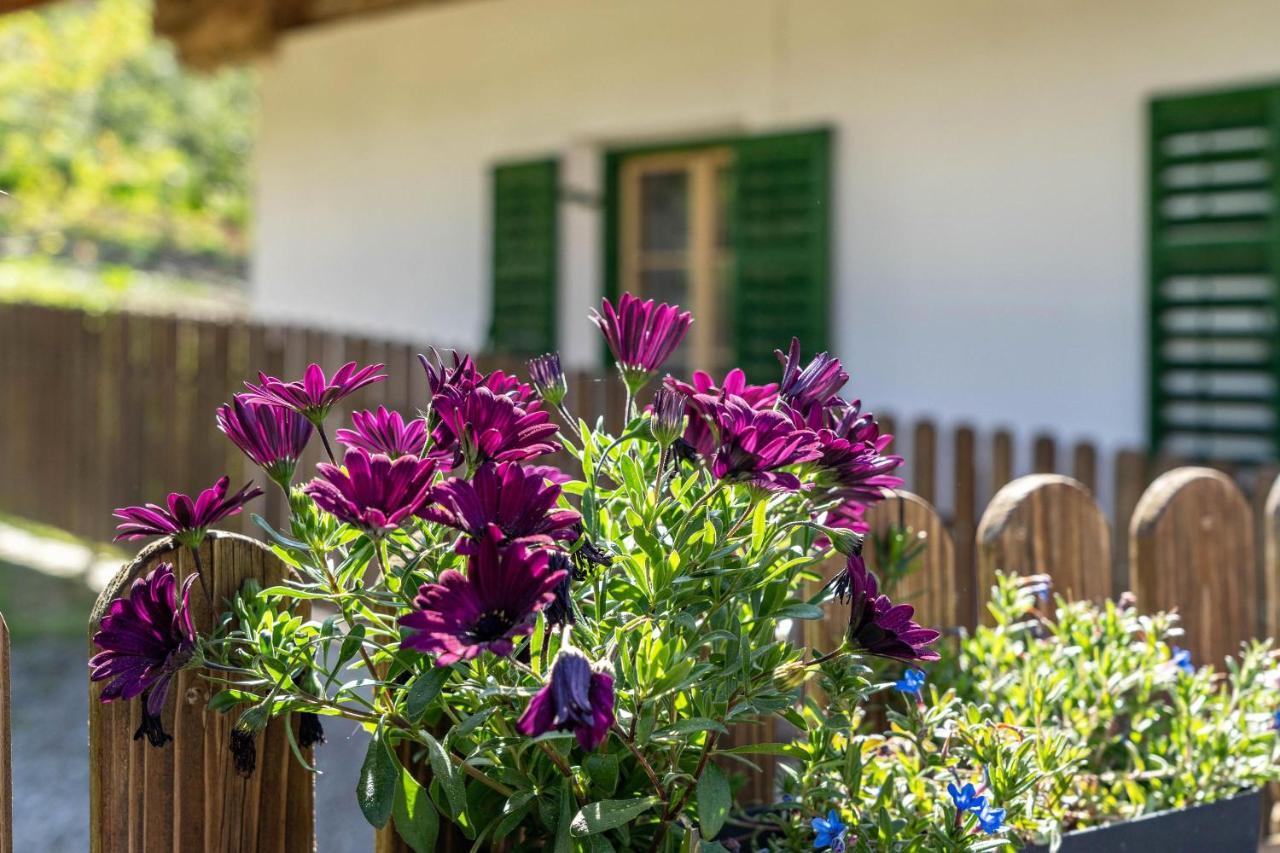 Ferienwohnung Brunjaunhof Schenna Bagian luar foto